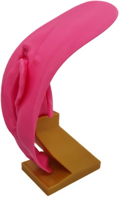 Vulva 3d com clitóris - comprar online