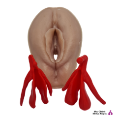 PSYCHOEDUCATIONAL Vulva and Real Clitoris.