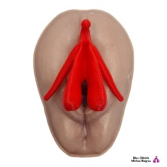 Combo Promocional Vulva + Clit Repouso + Clit Excitado na internet