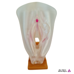 Vulva 3d com clitóris - tienda online