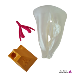 Image of Vulva 3d com clitóris