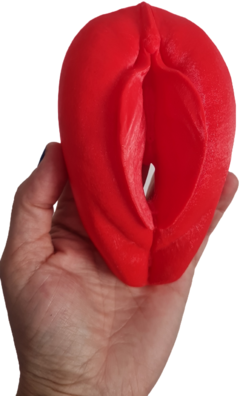 Vulva 3D ANTÚRIA na internet