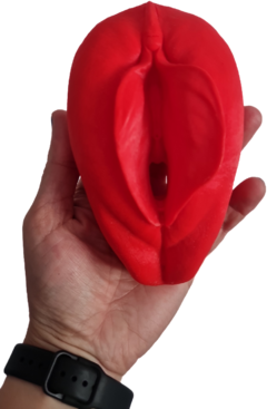 Vulva 3D ANTÚRIA - comprar online