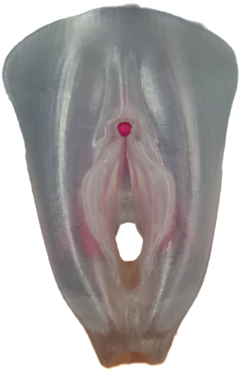 Vulva com Clitóris 3D Dourado - loja online