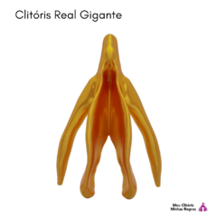 Clitoris Real Gigante