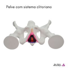 pelvis with clitoral system - Clistore