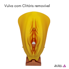 Vulva con Clítoris Dorado 3D