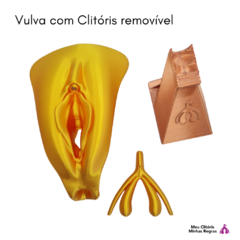 Vulva com Clitóris 3D Dourado na internet
