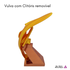 Vulva con Clítoris Dorado 3D - Clistore