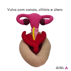 Vulva de Pelúcia com Clitóris e Úteros removíveis - comprar online