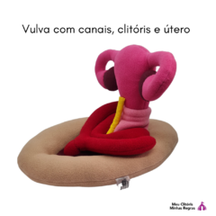 Vulva de Pelúcia com Clitóris e Úteros removíveis - Clistore