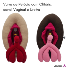Imagen de vulva de peluche didáctica con clítoris