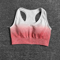 Imagem do Gradient Yoga Set para Mulheres, Roupas Sem Costura, Sportswear, Fato De Treino