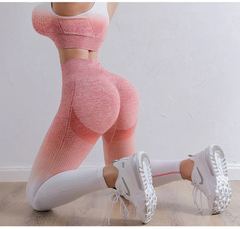 Gradient Yoga Set para Mulheres, Roupas Sem Costura, Sportswear, Fato De Treino