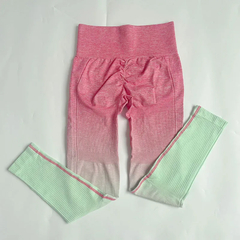 Gradient Yoga Set para Mulheres, Roupas Sem Costura, Sportswear, Fato De Treino