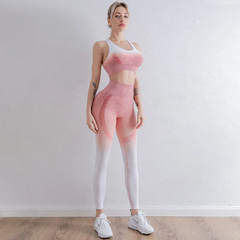 Gradient Yoga Set para Mulheres, Roupas Sem Costura, Sportswear, Fato De Treino - comprar online