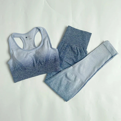 Gradient Yoga Set para Mulheres, Roupas Sem Costura, Sportswear, Fato De Treino