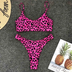 Women's Sexy Leopard Bikini Set, Swimwear Feminino, Maiô, Banhista Brasileiro, - comprar online