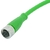 Conector Femea M8, Reto, sem led, 4 fios, cabo de 2Mts em poliuretano