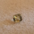 Berilo 2.0ct - comprar online