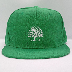 SNAPBACKS | GREEN