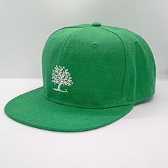 SNAPBACKS | GREEN - comprar online