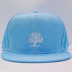 SNAPBACKS | SKY BLUE