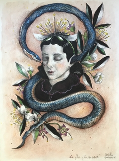 La flor y la serpiente - Natalia Quesada, Dibujo