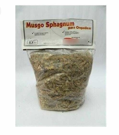 MUSGO SPHAGNUM