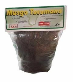 MUSGO TUCUMANO