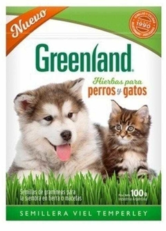 SEMILLAS DE HIERBA PARA GATOS Y PERROS