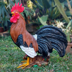 Galo Rei Para Decoração De Jardim Galinha Atlético Resina