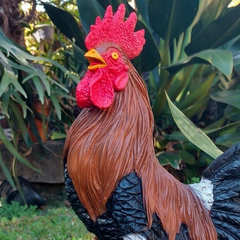 Galo Rei Para Decoração De Jardim Galinha Atlético Resina na internet