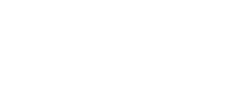 Zoom Discos
