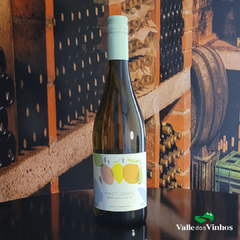 Vinho Branco Seco Mediterranico Pinot Grigio IGT Terre Siciliane - comprar online