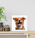 Quadro | Cachorro Feliz - comprar online