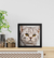 Quadro | Gatinho - comprar online