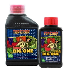 Top Crop - Big One x 250ml