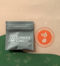 Semilla Malvina (THC) - CONICET x 4u - Cannabis fotoperiodica feminizada