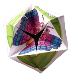 Ciclo Mariposa (libro juguete) - comprar online