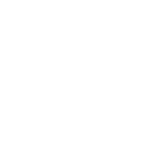 Maxx Toys