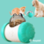 PetWheel® - Brinquedo Interativo Para Cães e Gatos - comprar online