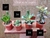 Pack de cactus y suculentas a elección - tienda online