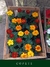 Cajón x24 Plantines de flores a elección - tienda online