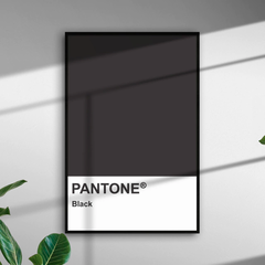 CUADRO PANTONE BLACK 40x60cm