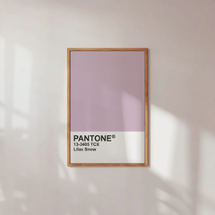 CUADRO PANTONE LILAC SNOW 50x75cm