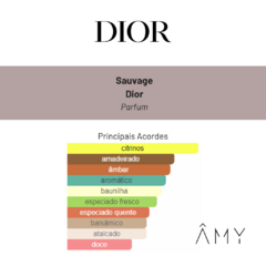 Sauvage - Dior - Perfume Masculino - Parfum - Decant na internet