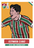 Álbum: Aquele Fluminense de 2023 - drawportes