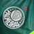 REGATA PALMEIRAS HOME/CASA 2023/24 - PUMA - Amet Store - Invista em sua paixão pelo esporte.