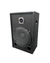 BAFLE 15” 2 VIAS PASIVO - 300 WATTS CON TWEETER BALA